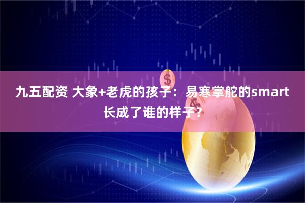 九五配资 大象+老虎的孩子：易寒掌舵的smart长成了谁的样子？