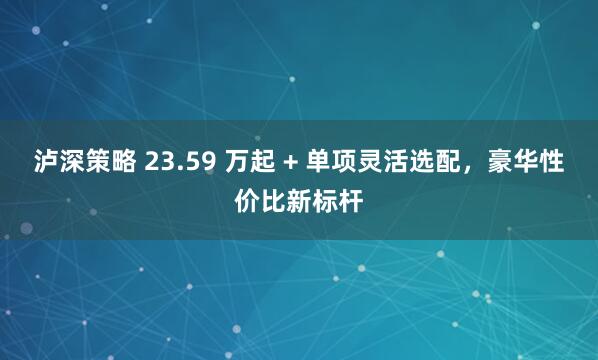 泸深策略 23.59 万起 + 单项灵活选配，豪华性价比新标杆