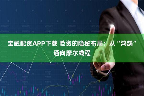 宝融配资APP下载 险资的隐秘布局：从“鸿鹄”通向摩尔线程