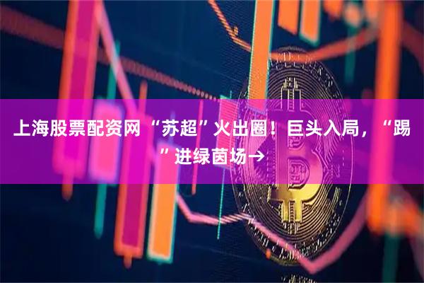 上海股票配资网 “苏超”火出圈！巨头入局，“踢”进绿茵场→