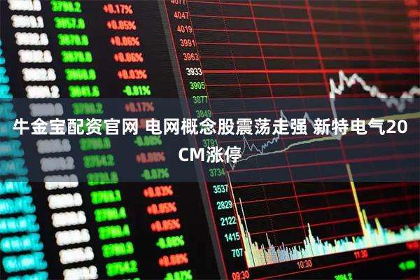牛金宝配资官网 电网概念股震荡走强 新特电气20CM涨停