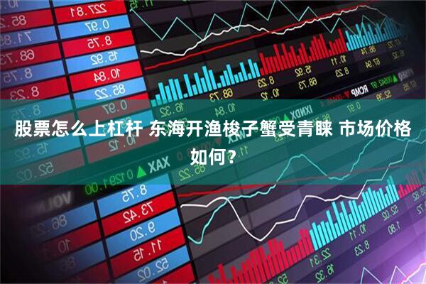 股票怎么上杠杆 东海开渔梭子蟹受青睐 市场价格如何？
